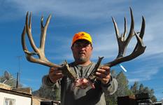 Past Whitetail and Mule Deer Hunting Trips